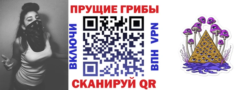 где продают наркотики  Оса  Галлюциногенные грибы GOLDEN TEACHER 